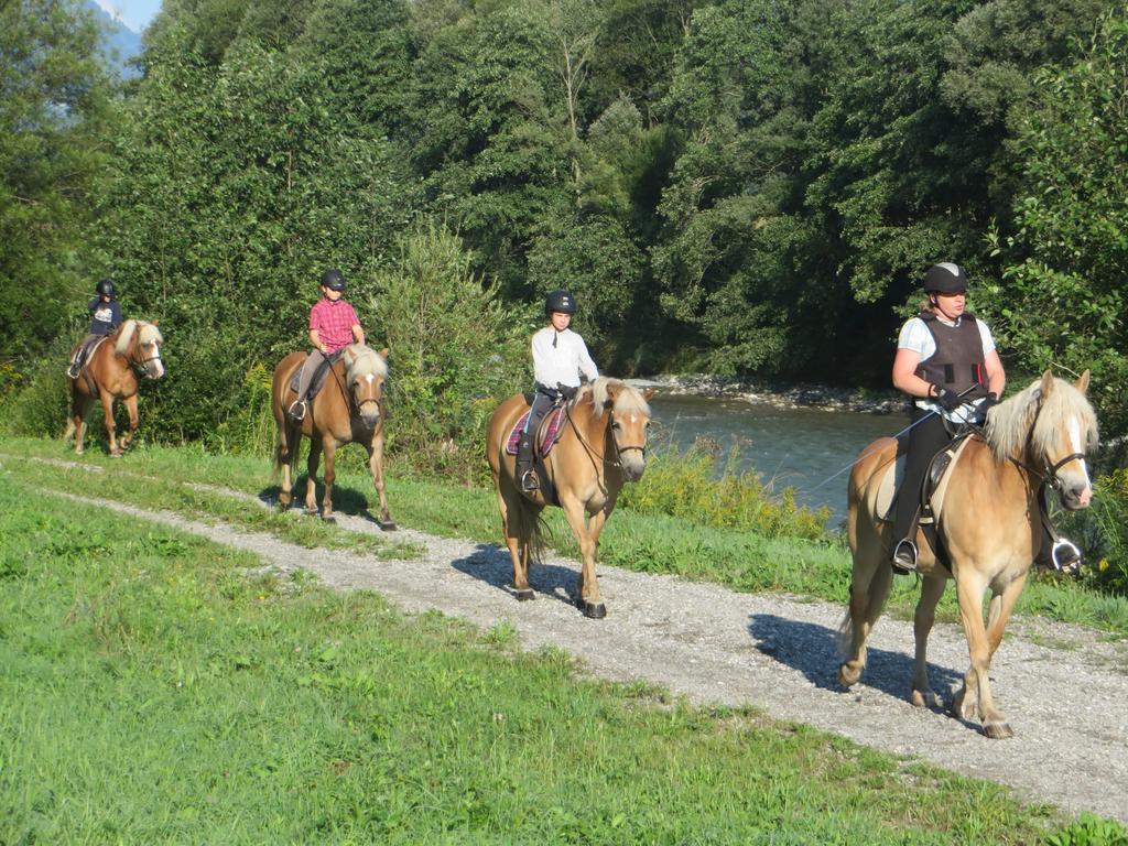 Knaller Der Reiterbauernhof Reisach Екстериор снимка